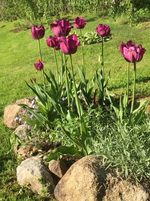 F5A1451C-B499-45D8-8FB9-2ED61ACC8584