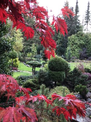 ECEBA3AF-9426-4976-99B9-61968F809EF0