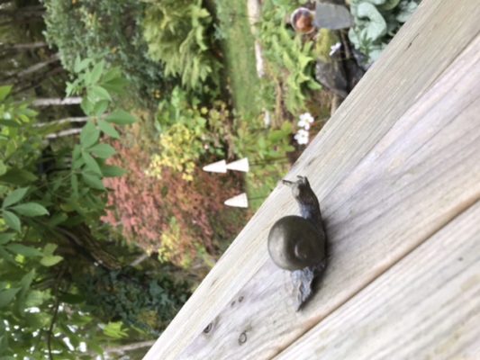 2F22E4A6-EC7D-403A-A424-FFB2C170421D