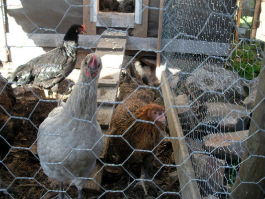 photo_11598