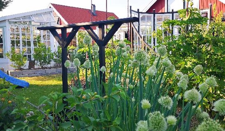 Helins Gröna Bo, Ludvika