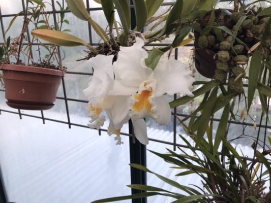 A5FD7961-D258-4467-B5D4-EB63E15435DC