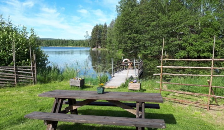 Hökvikens Koloniförening, Falun