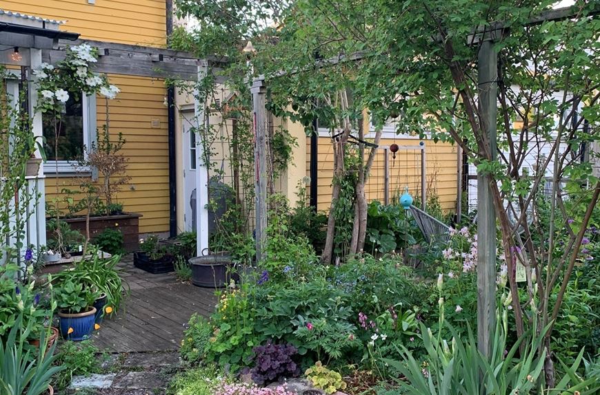 Radhus trädgården - Riksförbundet Svensk Trädgård