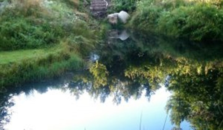 Strömsholmens Trädgårdspark, Markaryd