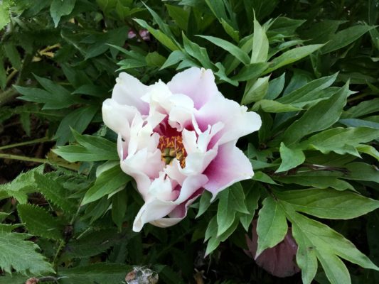 1791D730-7F3B-4C6B-93A6-D40001FFFC8D