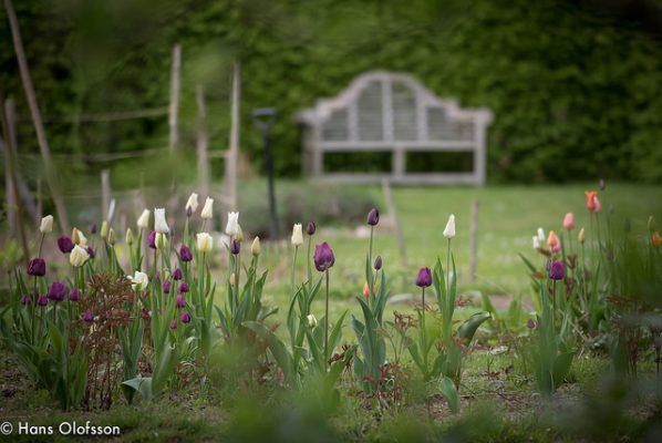 26937575582_178d71d37b_z