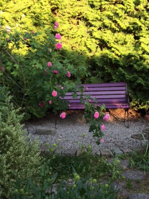 17372F72-937B-4E5C-943F-CD9C1477A71A