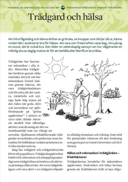 Faktablad 28 - Trädgård och hälsa