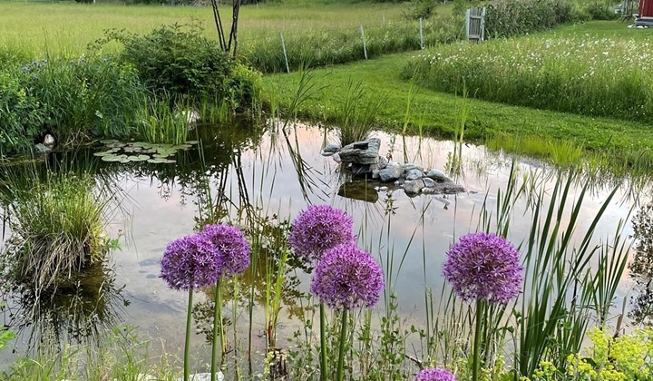 Biologisk mångfald i Molnby, Vallentuna