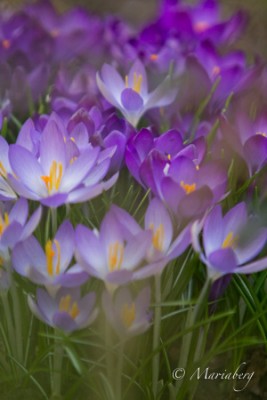 120327-Mariaberg-103551