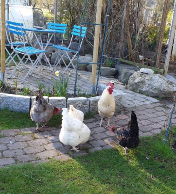 IMG_20200507_142645_391