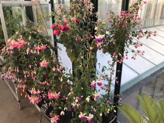 1827BA96-9D80-4522-8F06-8432B6DE75D3