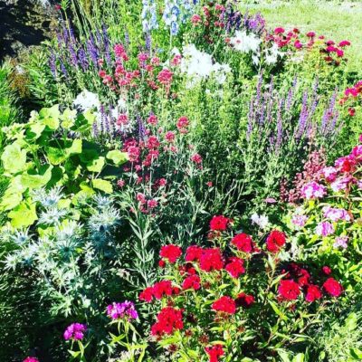 IMG_20190617_085702_919