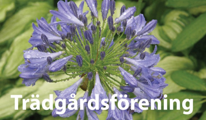 Norra Roslagens Trädgårdsförening, Östhammar