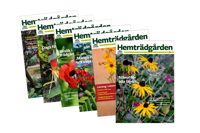 Hemtradgarden Tidigare Nummer