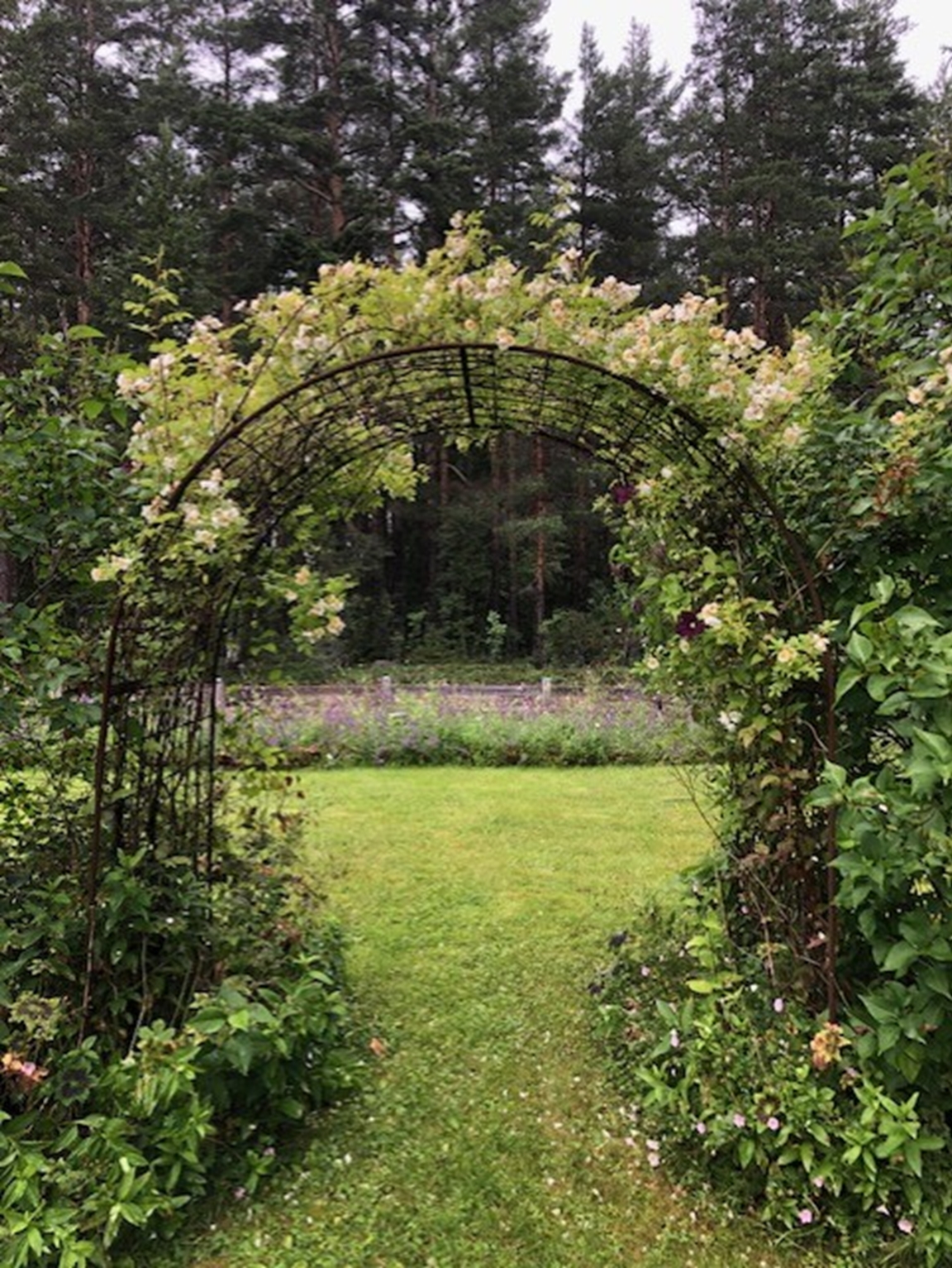 Prästkragarnas trädgård, Gävle