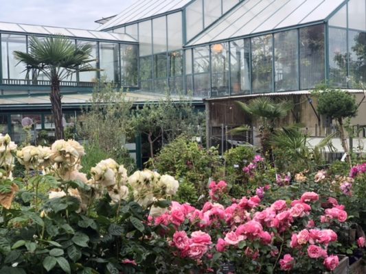 B1470A01-450D-4930-9C9A-2CB95485AC9A