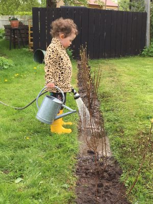 3826A2F6-D1FC-455B-A71A-237BFA5C901A