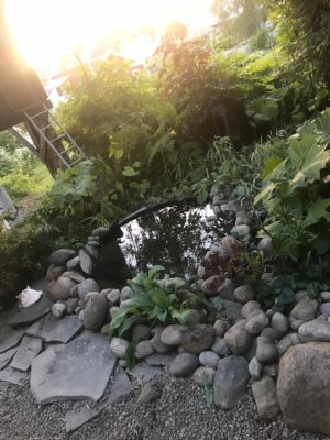 9E487FBC-52C7-4B82-9950-D0F2D89401D5