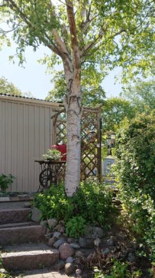 received_1560259140800698