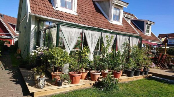 received_585946432051401