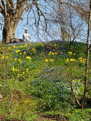 IMG-20180421-WA0000 (1)