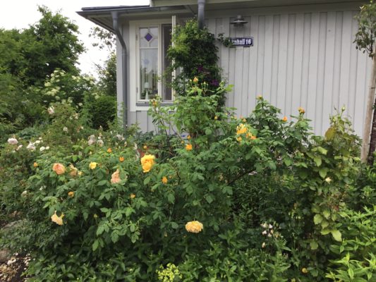 69C49E0E-D689-49CC-BD64-3B6065205ACE