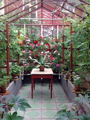 vaxthus_interior_150