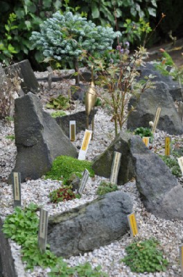 photo_8846