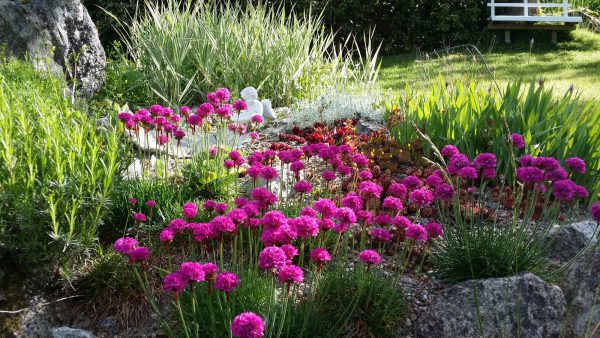 04-20150611_084801-001