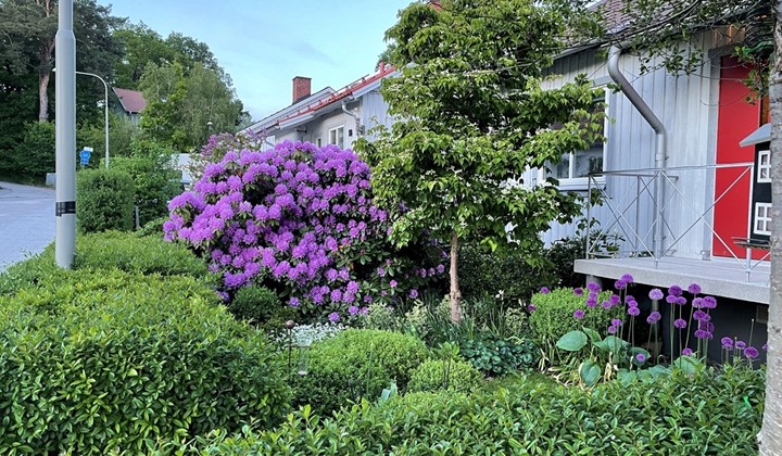 Den innerliga lilla trädgården , Sköndal
