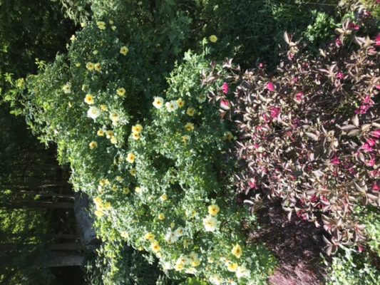 462358D5-E53D-42A4-841C-ADBF979E25CC