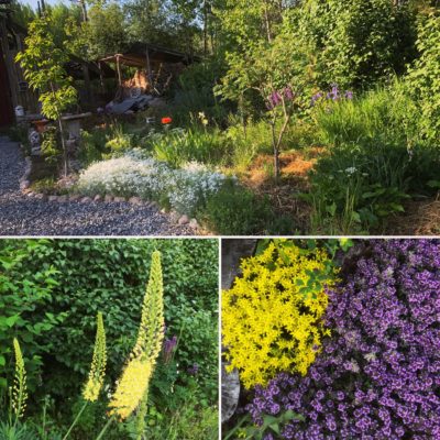 FB424AC3-7163-4F34-83DC-6FC9F83DC757