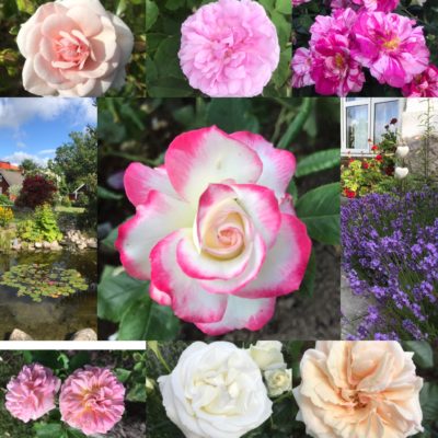 DE2C6FF0-7267-483F-A39A-86A3A8AB0C50