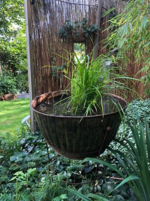 E8E6F371-5C6B-4E5E-94C2-F87525EFF11E