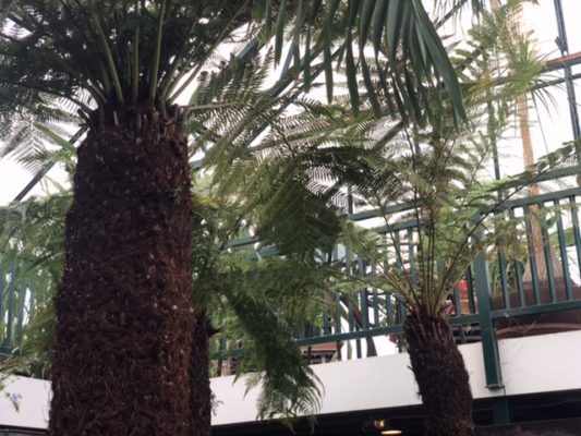 73B68947-8A7F-4534-B746-650B086CB9CE