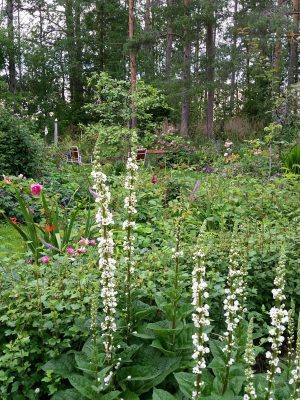 26235751_10155319329794211_76296471_o