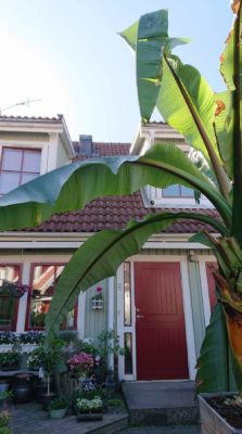 received_248039676480503