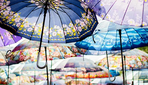 FOR är en paraplyorganisation för alla fritidsodlare i Sverige