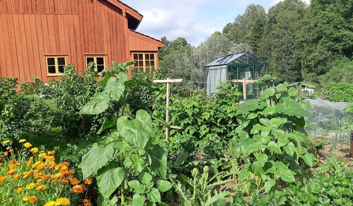 Fjälla Trädgård, Strömstad