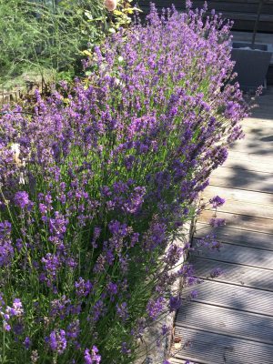 701B4028-59A2-4F5A-B850-A487643A3E9B