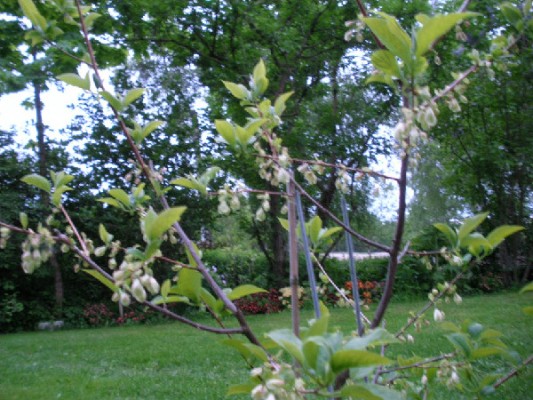 photo_9572