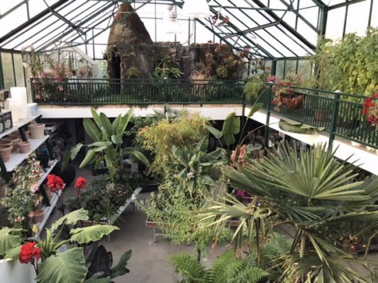 AFA53F04-7CDC-4EA4-8993-42BA30A2503B