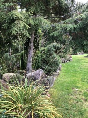 E17EE6E5-EBC8-49E9-8D5D-DF2CF5BE14E1