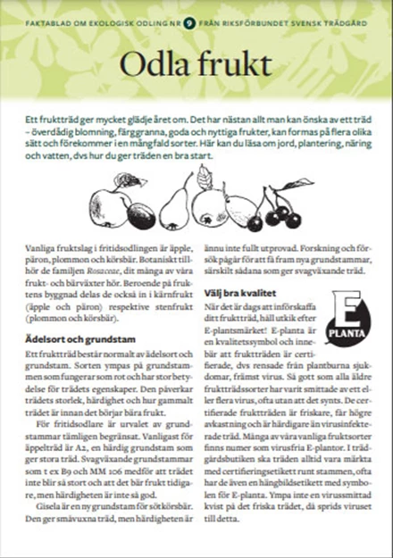 Faktablad 9 - Odla frukt
