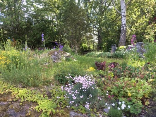 660C2576-3224-4037-8DC9-19E499A5BAE6