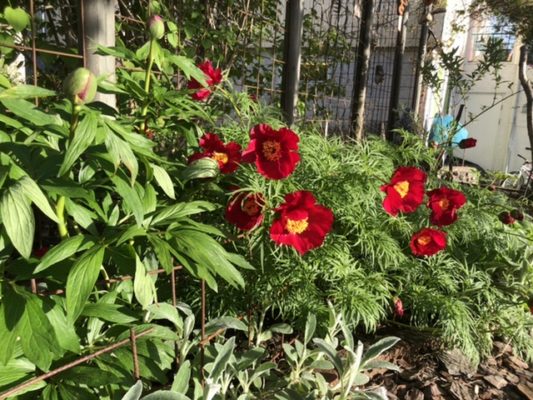 611A1404-7C7D-4FA7-99D0-DCB83D43EF7E