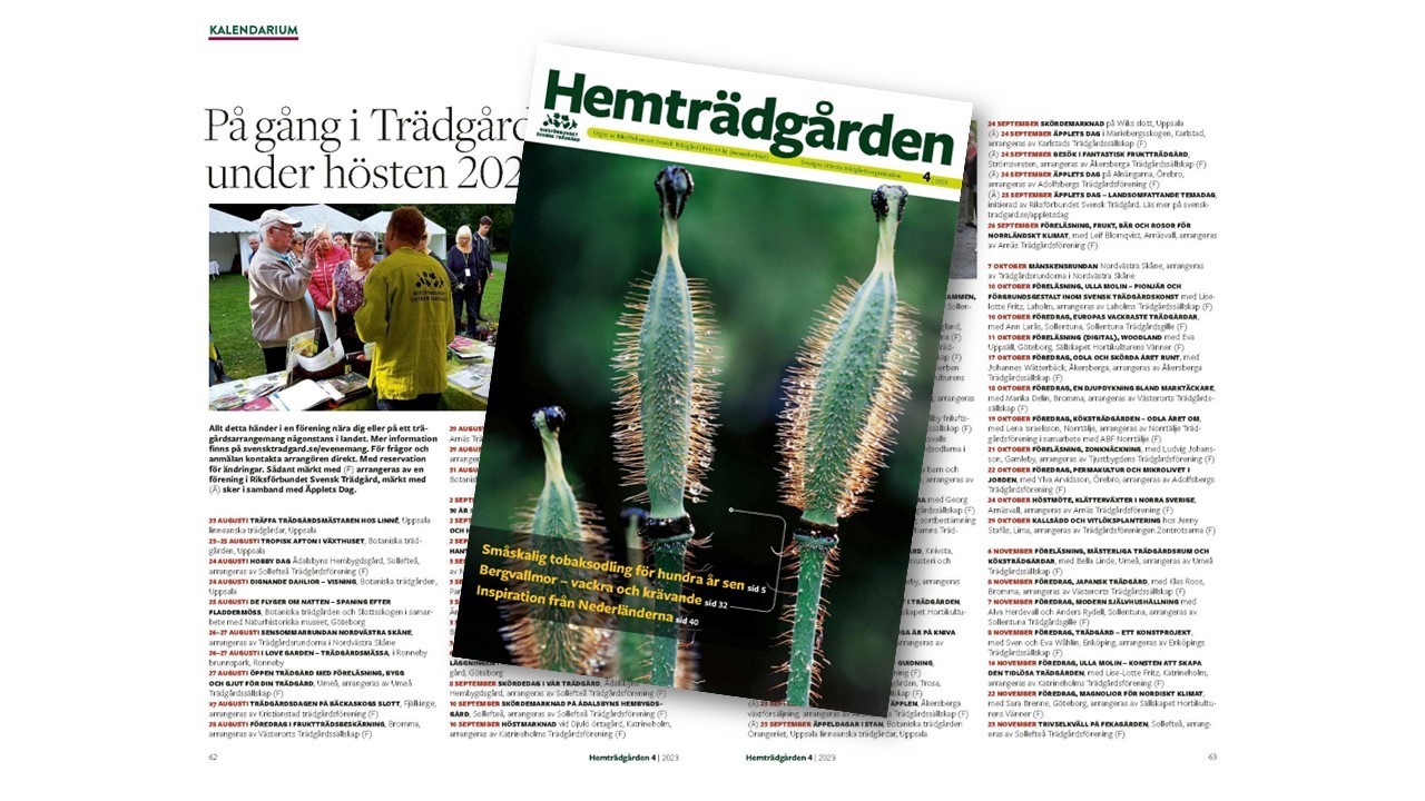 Kalendarium i Hemträdgården