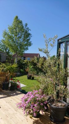 received_3164938596900185